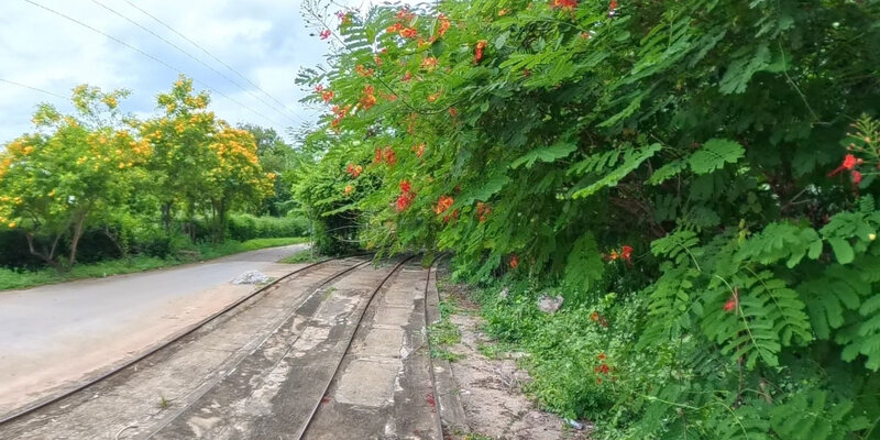 Banan Bamboo Train Park and Garden — 6