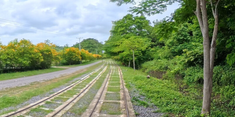 Banan Bamboo Train Park and Garden — 8