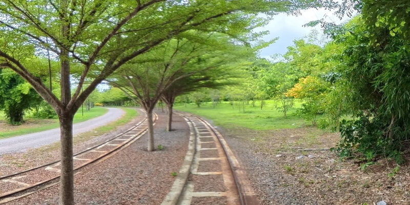 Banan Bamboo Train Park and Garden — 11