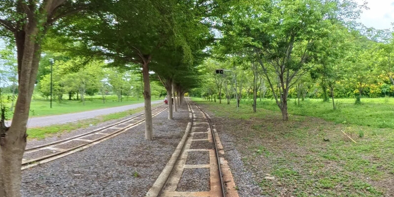 Banan Bamboo Train Park and Garden — 12