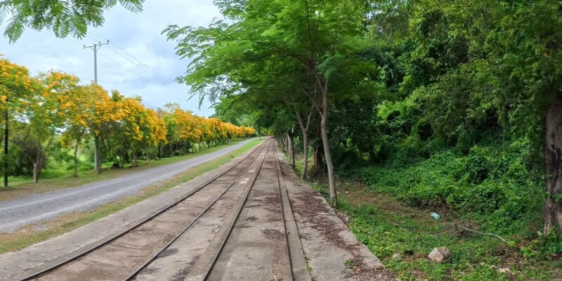 Banan Bamboo Train Park and Garden — 16