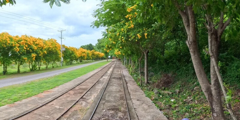 Banan Bamboo Train Park and Garden — 17