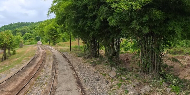 Banan Bamboo Train Park and Garden — 50