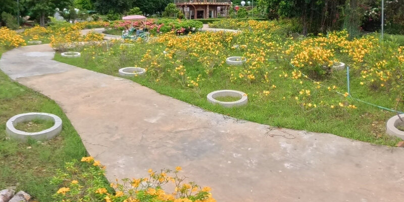 Banan Bamboo Train Park and Garden — 67