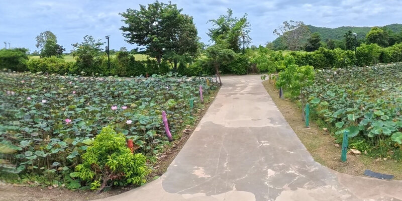 Banan Bamboo Train Park and Garden — 73