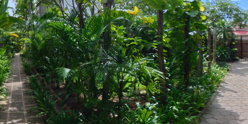 Pathway to pool and living areas